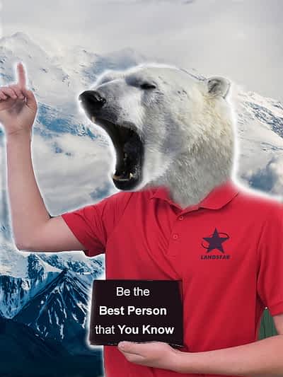 Polar Bear